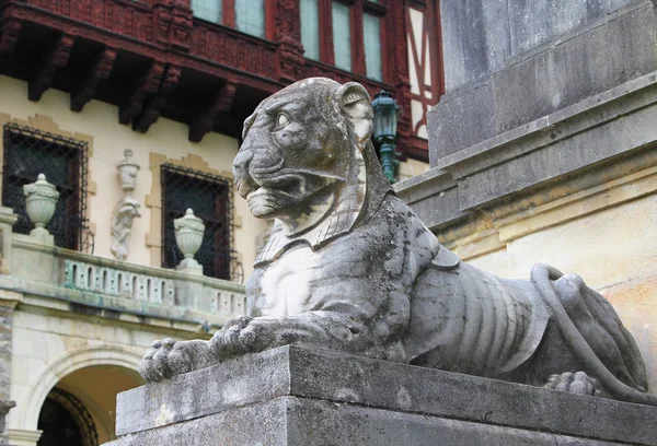 Marble Lion Background Peles Castle Sinaia Romania — Stock Photo, Image