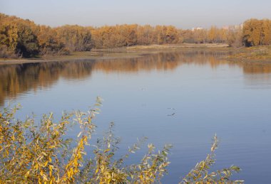 Sonbahar parkında sakin bir nehir
