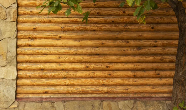 Küçük bir kayalık ev ve sonbahar ağacı 