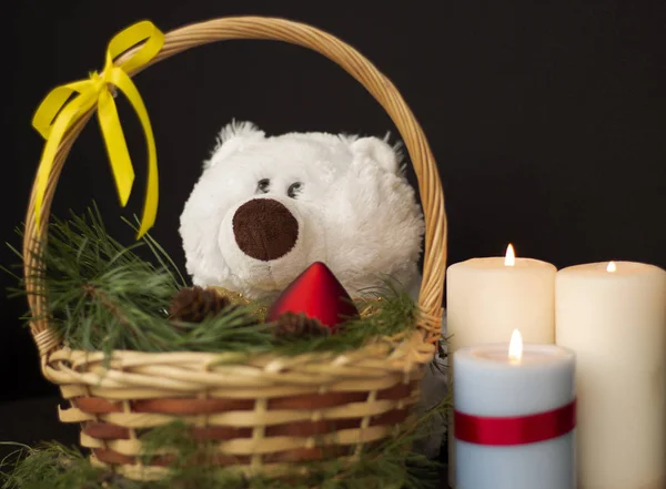 Beyaz ayı Noel sepetine bakıyor. 