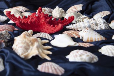 Denizci, mavi arka planda sakin bir hayat sürer