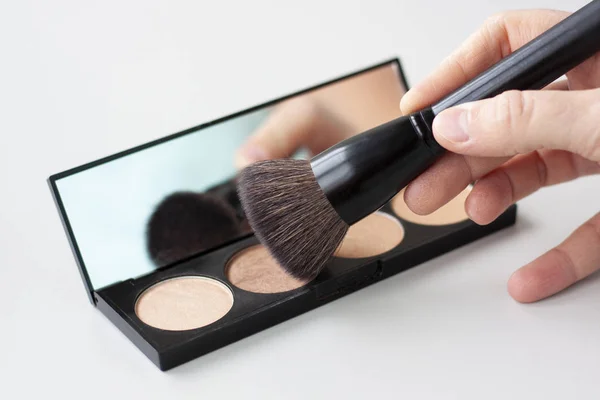 Renkli bir palette allık fırçası 