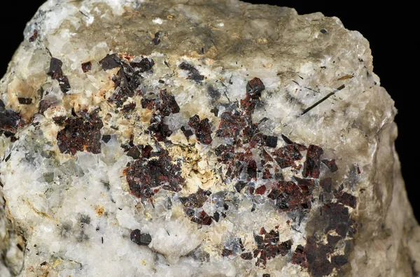 Mangan kan inte förenas. Mineralen bildar mörkröda prismatiska kristaller upp till 7 cm långa. — Stockfoto