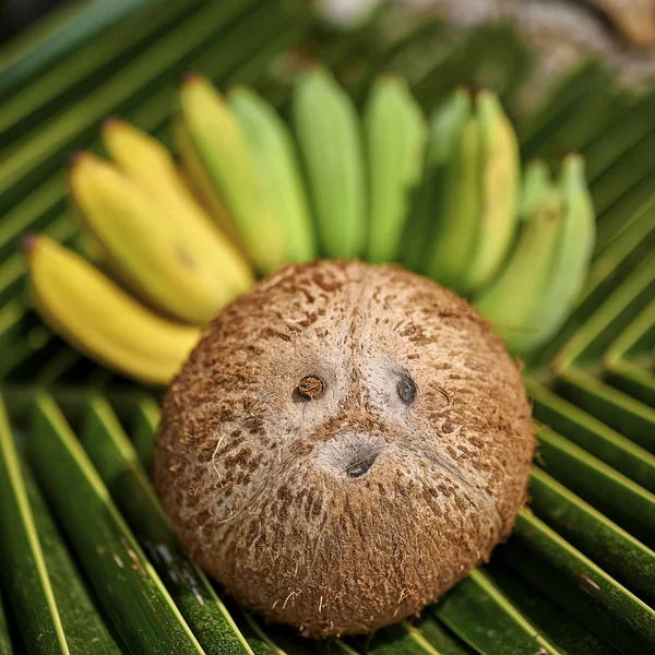 Mignon visage en noix de coco et bananes — Photo