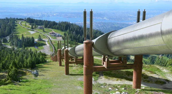 Bir yakıt boru hattı dağlık bir vadiyi yılanlarla geçip şehre iniyor..