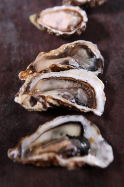 Masadaki taze istiridyeleri aç. Odaklanamıyorum. Üst Manzara. Boşluğu kopyala.