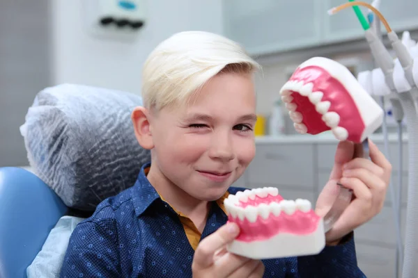 A boy with a mock-up of teeth in his hands winks an eye. Reception at the childrens dentist. The boy learns to brush his teeth correctly. The concept of health and disease prevention. Out of focus.