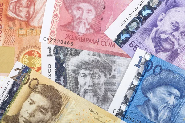 Kirgiziska Pengar Bakgrund — Stockfoto