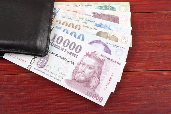 M-cüzdanda bulunan siyah Macar para 