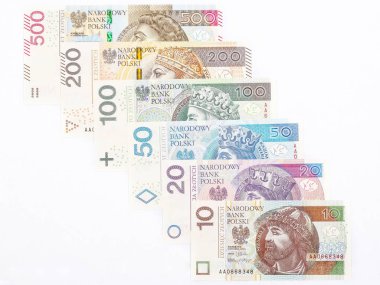 Lehçe para - tam Polonya Zlotisi ayarla 