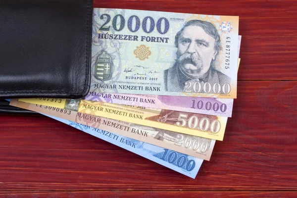 Dinheiro Húngaro Carteira Preta — Fotografia de Stock