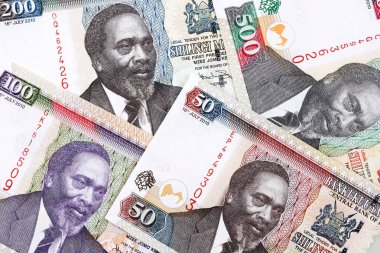 Kenya para, bir iş geçmişi 