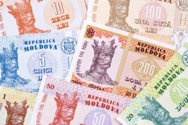 Moldova para bir iş geçmişi 