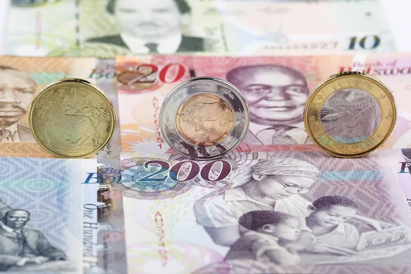 Monete Botswana Pula Sullo Sfondo Delle Banconote — Foto Stock