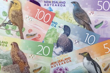 Yeni Zelanda doları - ters yüz, iş geçmişi 