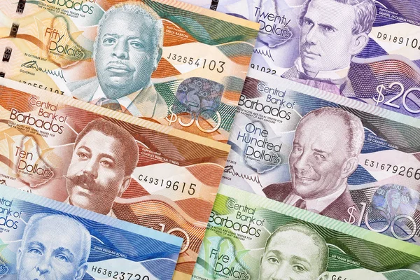Dollari Dalle Barbados Uno Sfondo Aziendale — Foto Stock