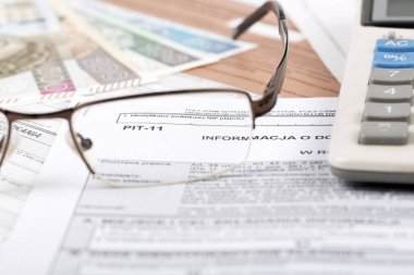 Polonya Vergi Bilgileri PIT-11 