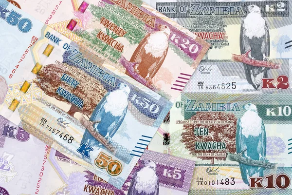 赞比亚的钱 商业背景 — 图库照片