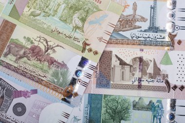 Sudanlı bir iş geçmişi var. 