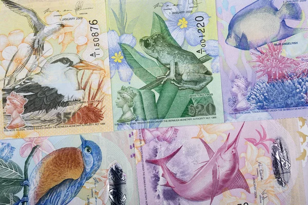 Bermudian Dollar Ett Företag Bakgrund — Stockfoto