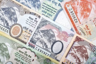 Nepal Rupisi bir iş geçmişi 