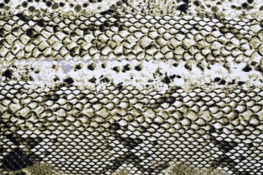 Hayvan cilt desenleri, bir arka plan veya doku malzeme 