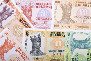 Moldova lu bir iş geçmişi 