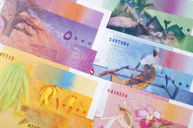 Komor Frangı bir iş geçmişi 