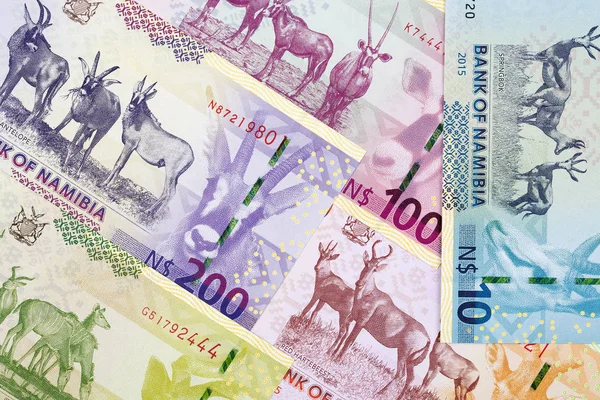 Namibische Dollar Een Zakelijke Achtergrond — Stockfoto