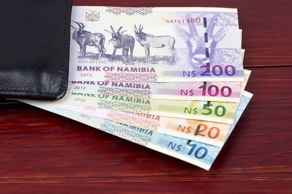 Namibijský Dolar Firemní Zázemí — Stock fotografie