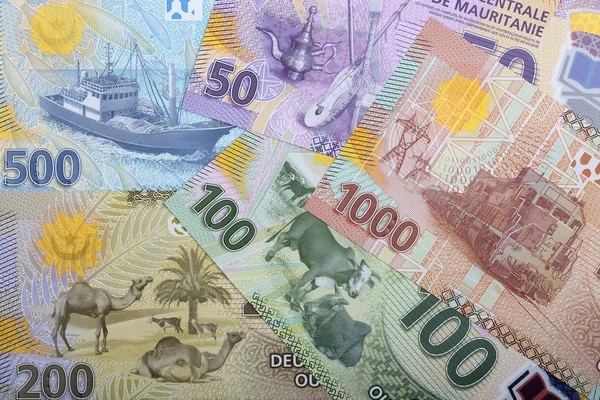 Geld Van Mauritanië Een Zakelijke Achtergrond — Stockfoto