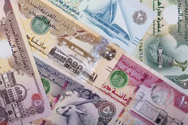 Birleşik Arap Emirlikleri Dirham, bir iş geçmişi. 