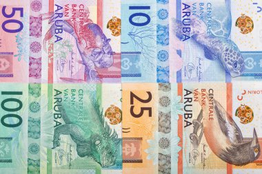 Aruban Florin bir iş geçmişi 