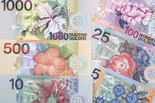 Surinamesischer Gulden Mit Unternehmerischem Hintergrund — Stockfoto