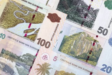 Surinam Dolar bir iş arka plan