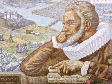 Maximilien de Bethune eski Fransız parasından bir portre