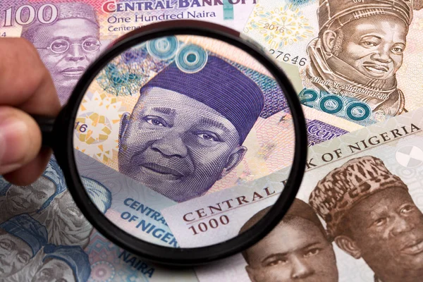 Nigerianisches Geld Der Lupe Ein Geschäftlicher Hintergrund — Stockfoto