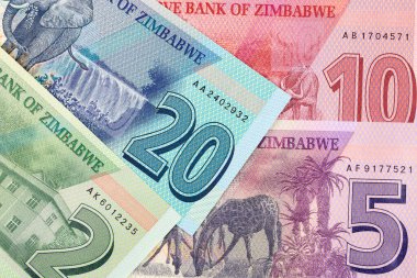 Zimbabve parası - Yeni banknotlar serisi