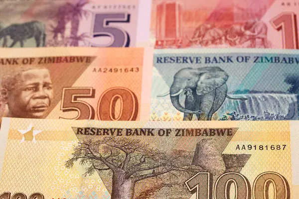 Zimbabwaans Geld Dollar Een Zakelijke Achtergrond — Stockfoto