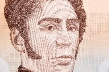 Simon Bolivar, Venezuela parasından bir portre - Bolivar