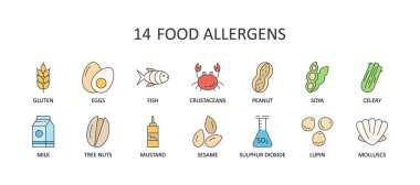 14 ana gıda alerjisinin vektör renk simgeleri. Düzenlenebilir Vuruş. Süt lupine kereviz fıstığı fındık susamlı sülfür dioksit kabuklular. Glütensiz yumurta balık, midye soya hardalı. Web tasarımı ve uygulaması için.