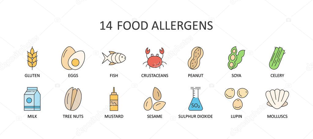 Vector color icons of 14 major food allergens. Editable Stroke. Milk lupine celery peanuts nuts sesame sulphur dioxide crustaceans. Gluten free eggs fish clams soy mustard. For web design and app.