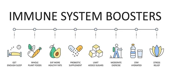 Vektor Banner Zur Stärkung Des Immunsystems Farbige Symbole Editierbarer Strich — Stockvektor