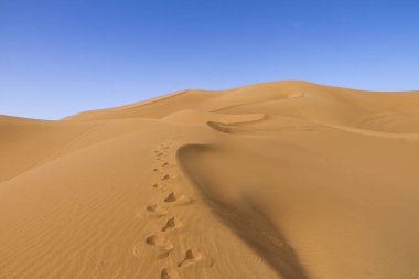Deserto del Sahara, Dune di Erg-Chigaga, M 'Hamid El Ghizlane, Fas