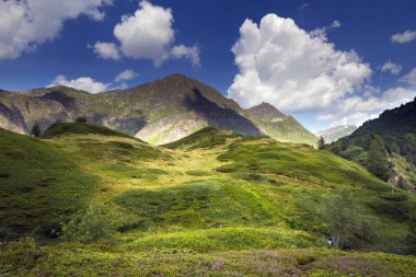 Yazın İsviçre Alpleri manzarası