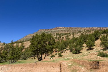 Yüksek Atlas Dağları seyahat ediyor, Fas.