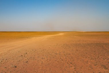 Sarı çöl kumunun manzarası, Fas.