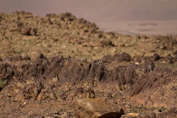 Höga Atlasbergen Marocko Naturlig Ladscape — Stockfoto