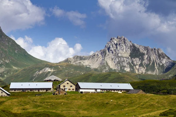 夏のスイスアルプスの風景 — ストック写真