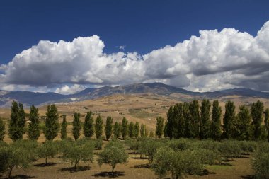 İtalya 'nın tepe manzarası. İtalyan doğası.